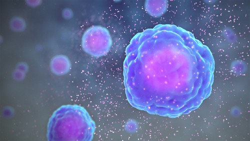 Las células inmunitarias liberan citoquinas. / www.cientificanimations.com CC BY SA.
