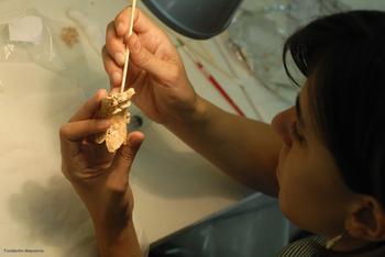 Una investigadora trabaja en el laboratorio con un fósil