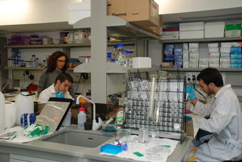 Trabajo en el laboratorio de Concepción Lillo. Foto: USAL.