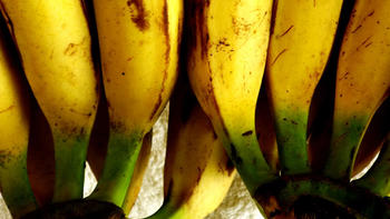 Plátano (FOTO: UDEA).