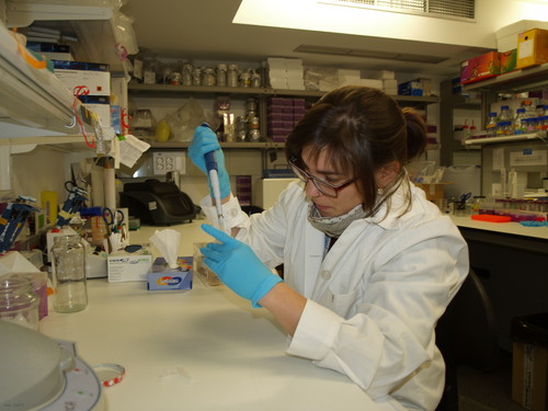 Laura Calvo, en el laboratorio del Incyl.