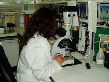 Las pruebas conllevan exhaustivos análisis de microscopio