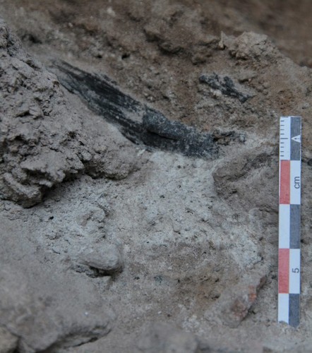 Detalle de un carbón de un hogar identificado en un estrato correspondiente al Paleolítico Superior final en la Cova Gran de Santa Linya - Foto: CEPAP-UAB.