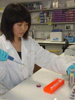 Tao Yu, investigadora del Incyl, trabaja en el laboratorio.