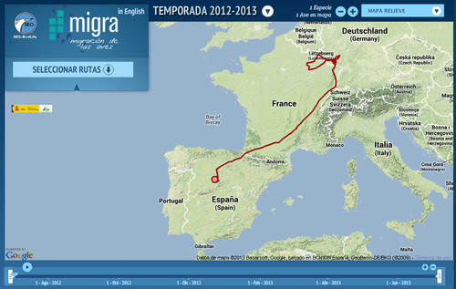 Mapa de la migración primaveral de ‘Pinarejos’ desde Segovia hasta Alemania. En junio se movió por Luxemburgo y el noreste de Francia (Fuente: programa Migra de SEO/BirdLife).
