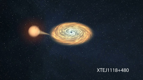 Sistema binario  XTEJ1118+480 en el que la estrella compañera va cayendo hacía el agujero negro. Créditos: Gabriel Pérez (SMM-IAC).