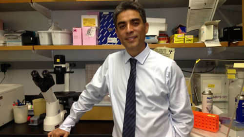 Juan Carlos Zapata en el laboratorio de la Universidad de Maryland, Estados Unidos. FOTO: UDEA.