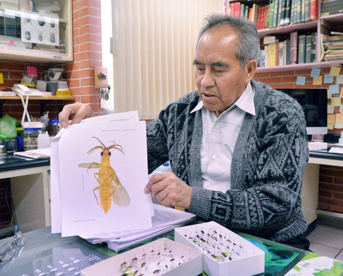 Santiago Zaragoza Caballero, investigador del Departamento de Zoología del Instituto de Biología de la UNAM. FOTO: UNAM.