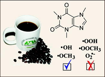 La cafeína es altamente eficiente para neutralizar ciertos radicales libres, pero menos efectiva en su interacción con otros. (Imagen: Annia Galano/The Journal of Physical Chemistry B)