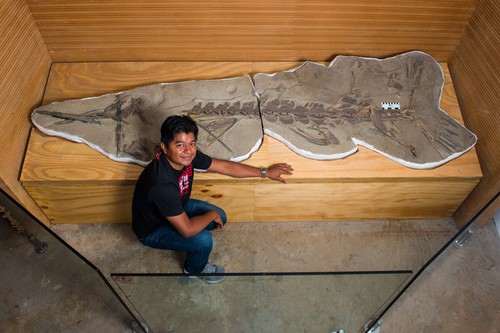 Durante sus exploraciones de la ‘Formación Chagres’, Carlos descubrió el fósil de marlin más grande y mejor conservado que se conoce, incrustado en sedimentos de más de 6 millones de años/Jorge Alemán, STRI.