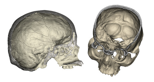 Reconstrucción digital (tomografía computarizada) de dos cráneos de la muestra/ Stanislava Eisová y Emiliano Bruner.