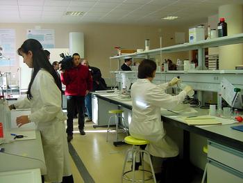 Laboratorio de Alimentos de la Escuela Politécnica Superior de Zamora